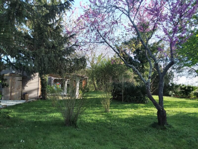 Bungalow entre Pau et Mont de Marsan