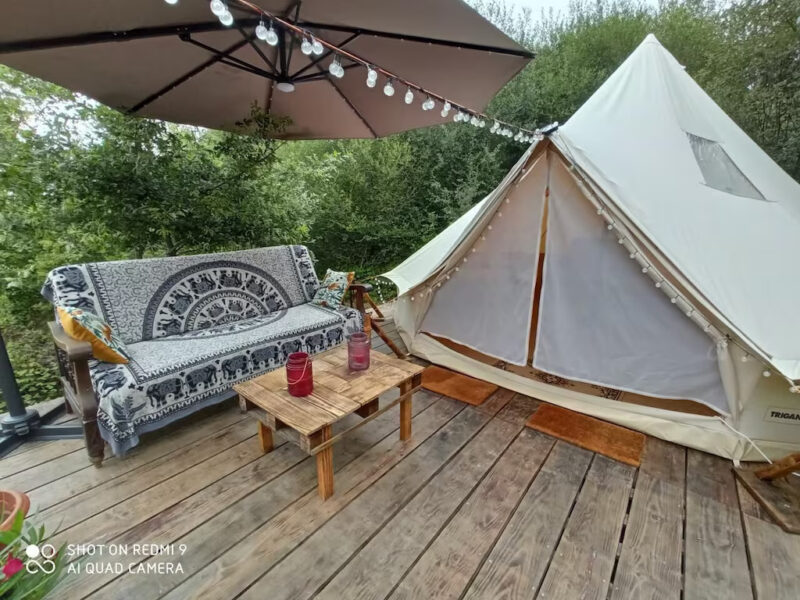 | Dîner &Nuit romantique au cœur de la forêt sauvage / |