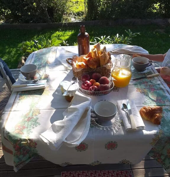 | Dîner &Nuit romantique au cœur de la forêt sauvage / |