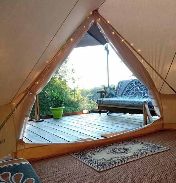 | Dîner &Nuit romantique au cœur de la forêt sauvage / |