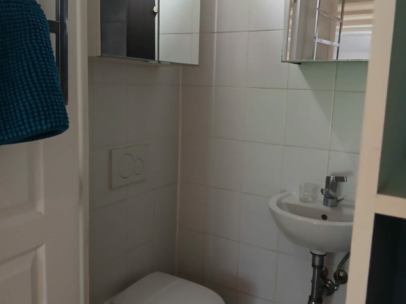 Studio / T1 centre- proche château de Gex ( Ain )