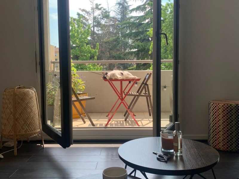 Appartement T3 agréable - proche gare Lyon Part-Dieu