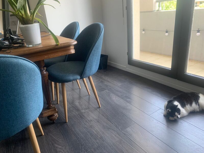 Appartement T3 agréable - proche gare Lyon Part-Dieu