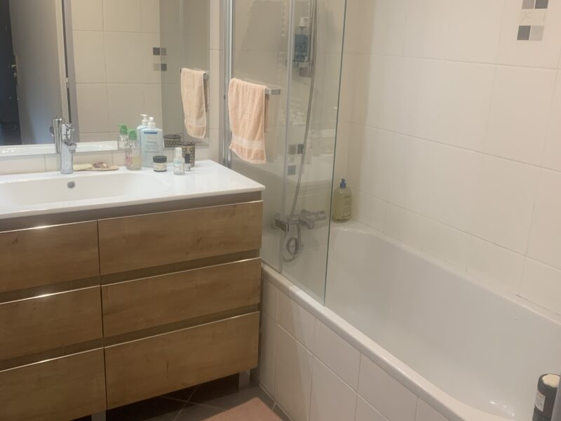 Appartement T3 agréable - proche gare Lyon Part-Dieu