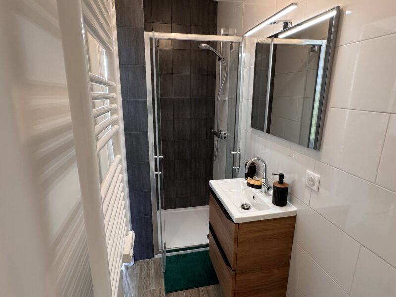 Duplex T2 cosy en plein centre ville / HEC & Tecomah