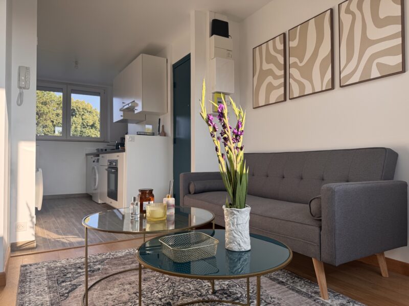 Duplex T2 cosy en plein centre ville / HEC & Tecomah