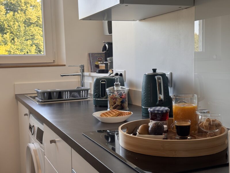 Duplex T2 cosy en plein centre ville / HEC & Tecomah