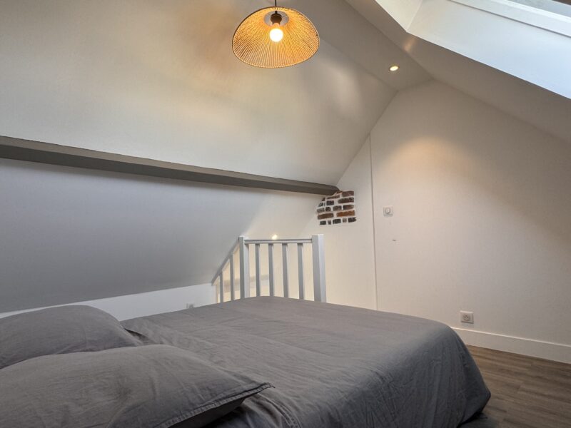 Duplex T2 cosy en plein centre ville / HEC & Tecomah