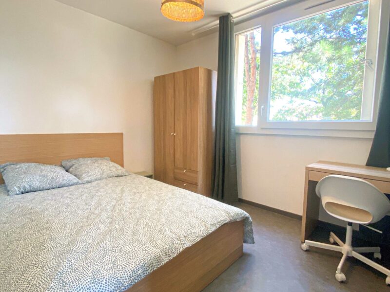 Colocation meublée 1 chambre - Lyon 8ème arrondissement