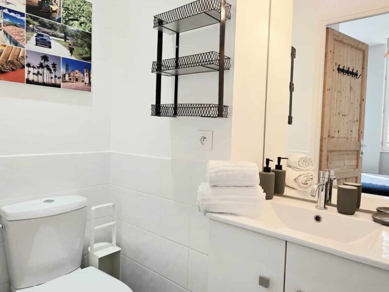 T2 - 1 chambre - Lyon 9eme - Valmy