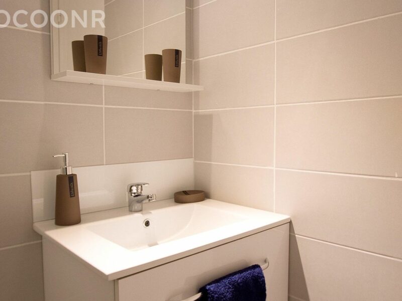 Appartement - 1 chambre - Toulouse - Centre historique