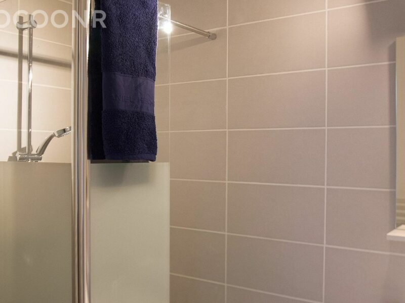 Appartement - 1 chambre - Toulouse - Centre historique