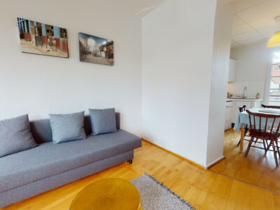 Appartement 1 chambre - Strasbourg Centre ville