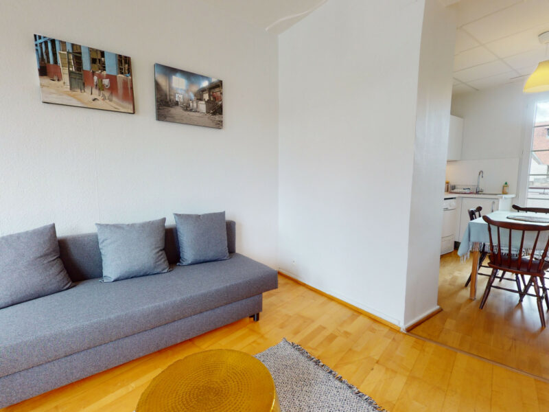 Appartement 1 chambre - Strasbourg Centre ville