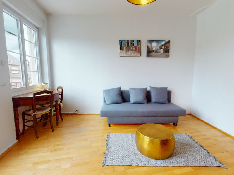Appartement 1 chambre - Strasbourg Centre ville