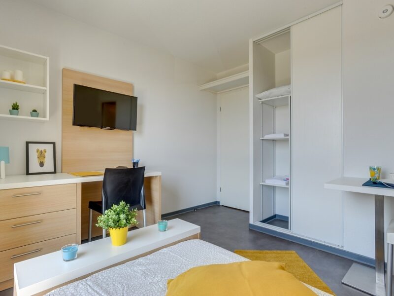 Studio - Toulouse - Centre-ville