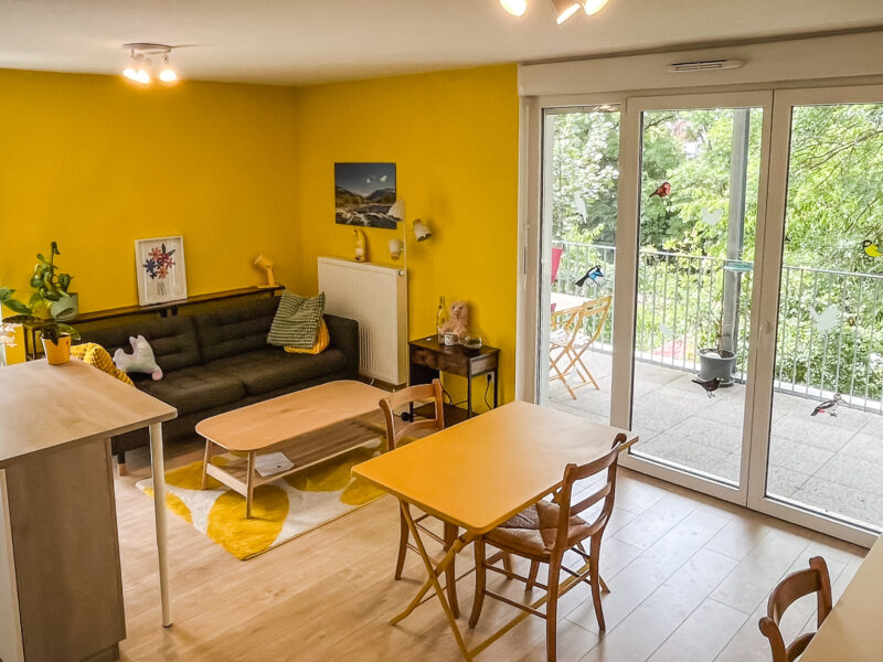 Appartement T2 et grande terrasse arborée Strasbourg