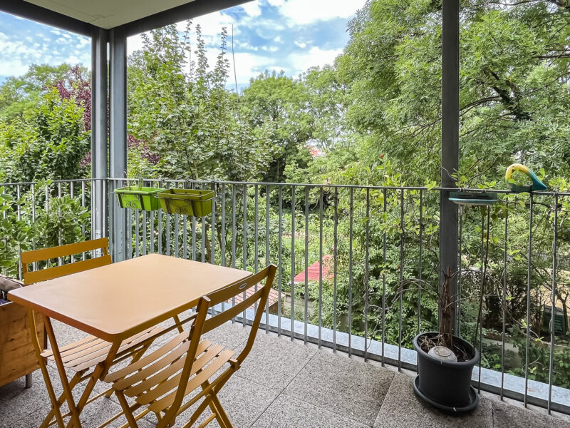 Appartement T2 et grande terrasse arborée Strasbourg