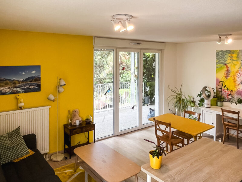 Appartement T2 et grande terrasse arborée Strasbourg