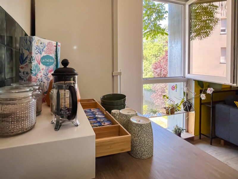 Appartement T2 et grande terrasse arborée Strasbourg