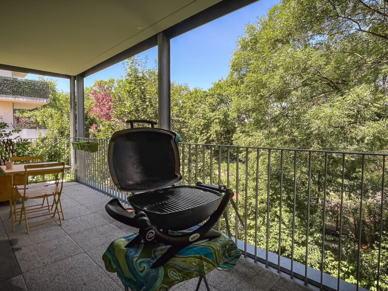 Appartement T2 et grande terrasse arborée Strasbourg